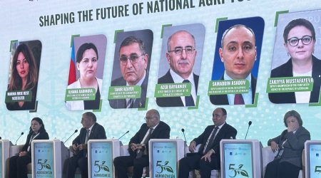 Deputat: Sahibkarlar məsuliyyəti dövlətə yükləyir