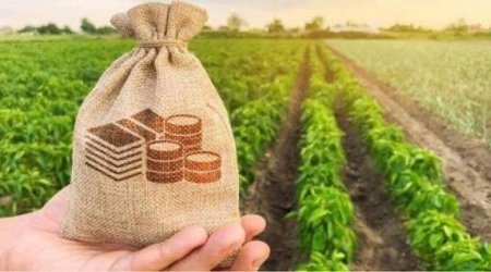 Aqrar kreditlər 2,1 milyard manata yüksəlib