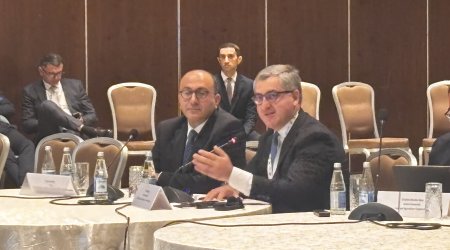 
Azərbaycan BƏƏ və Hindistan investorları ilə pambıqçılıq əməkdaşlığını müzakirə edir