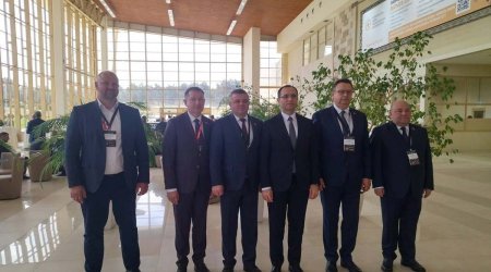 MAZ offers Azerbaijan vehicle supplies and joint assembly options