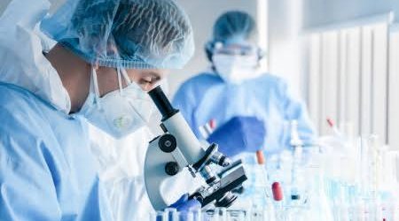 В Испании госпитализировали женщину с подозрением на хантавирус