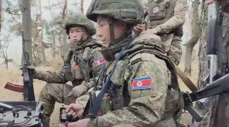 Массовая гибель северокорейцев в Курске
