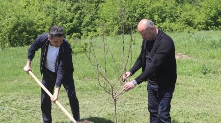 В Ходжалы проведена акция по посадке деревьев