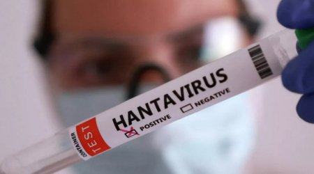 Fransada hantavirusa ilk yoluxma halı qeydə alınıb