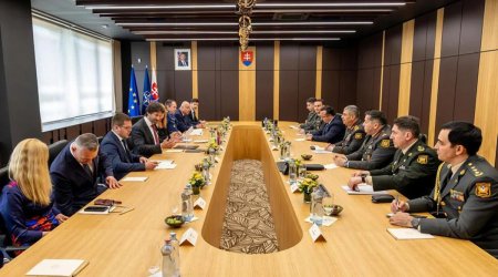 Azərbaycan müdafiə naziri Slovakiyaya səfər edib