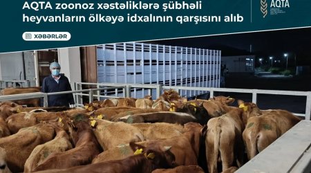 Zoonoz xəstəlik şübhəsi olan heyvanların Azərbaycana idxalının qarşısını alıb