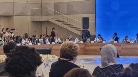 Hikmət Hacıyev: Qlobal Cənub ölkələri həmrəyliyi gücləndirməlidir