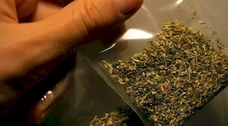 В Дагестане силовики пресекли доставку более полутонны марихуаны