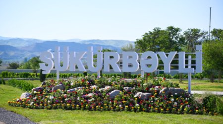 Cəbrayılın Şükürbəyli kəndinə növbəti köç olub