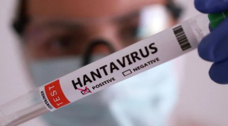Kanadada hantavirusa yoluxma aşkarlanıb
