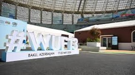 Bu gün Azərbaycanda WUF13-ə start verilir