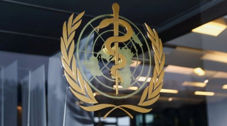 ВОЗ объявила международный режим ЧС из-за эпидемии Эболы в ДР Конго и Уганде