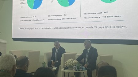 Qarabağda 644 özəl investisiya üzrə əməkdaşlıq sazişləri imzalanıb