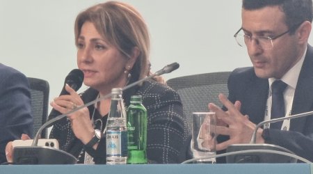 Gülşən Rzayeva: Azərbaycan post-münaqişə ölkələri üçün şəhərsalma modeli formalaşdırır