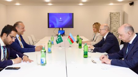 Азербайджан и Пакистан обсудили на WUF13 сотрудничество в энергетике