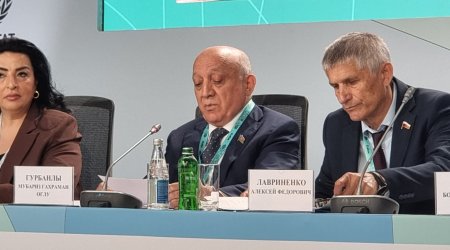 Mübariz Qurbanlı: Azərbaycanın dağlıq əraziləri strateji resurs kimi inkişaf etdirilir