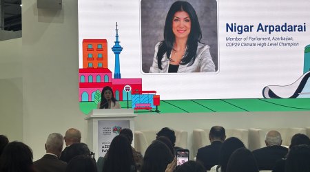 
Nigar Arpadarai: Plastik böhranı yeni yanaşmalar və əməkdaşlıq tələb edir
