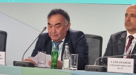 Dağ ekosistemləri iqlim dəyişiklikləri səbəbindən ciddi təzyiq altındadır - deputat