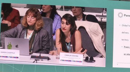 IIED: Mənzil siyasəti yalnız statistikaya deyil, insanların real yaşayış təcrübəsinə əsaslanmalıdır