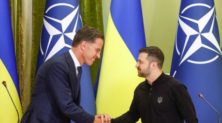 Зеленского пригласили на саммит НАТО в Анкаре