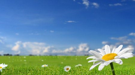 Sabahın hava proqnozu açıqlanıb