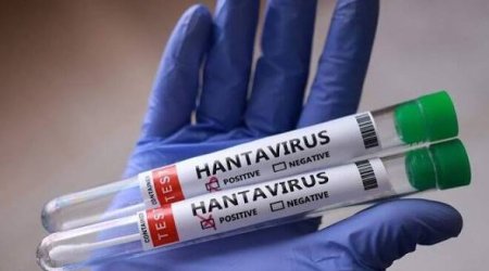 Hantavirusa yoluxanların sayı 13-ə çatıb