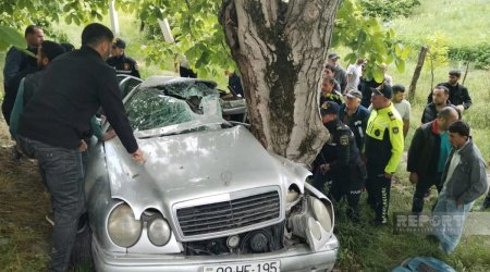 Oğuzda avtomobil ağaca çırpılıb, xəsarət alanlar var