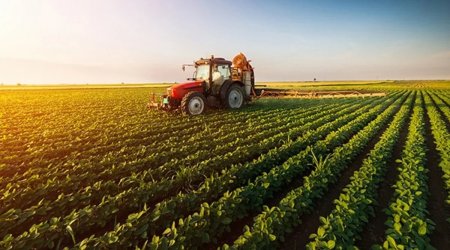 ЦАЭРК: Новая Госпрограмма служит созданию цепочки стоимости в аграрном секторе