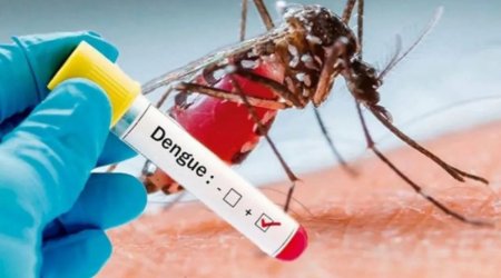 İranda denqe qızdırmasına yoluxanların sayı artdı