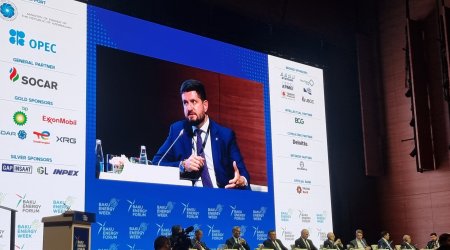 Moldova Azərbaycan qazının enerji təhlükəsizliyində mühüm rol oynadığını bildirir