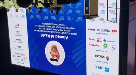 BƏƏ rəsmisi: Enerji təhlükəsizliyi üçün diversifikasiya və dayanıqlılıq əsas şərtdir