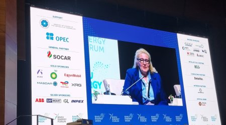 Gürcüstan Qara dəniz yaşıl enerji layihəsinin növbəti mərhələsinə bu il başlamağı gözləyir