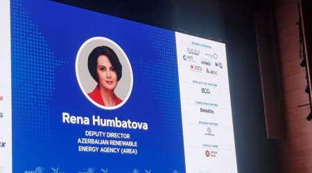 Arktikada dəyişikliklər sürətlənir &ndash; AREA rəsmisi iqlim risklərindən danışıb