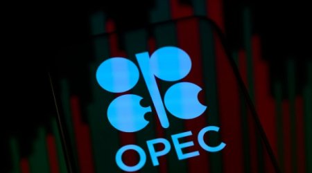 Страны ОПЕК приняли решение