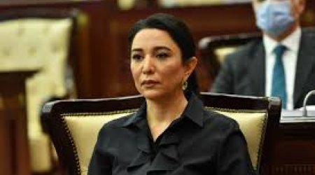 Ombudsman uşaqların rəqəmsal mühitdə müdafiəsinin gücləndirilməsini dəstəkləyib