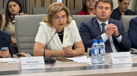 Səhiyyə Nazirliyinin rəsmisi uşaqların sosial şəbəkələrə girməsinə münasibət bildirib