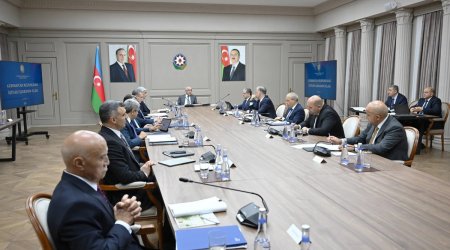
İqtisadi Şurada Ələt Azad İqtisadi Zonasının fəaliyyəti müzakirə olunub