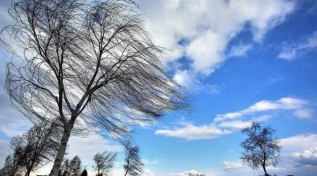 Küləkli hava ilə bağlı sarı xəbərdarlıq edilib