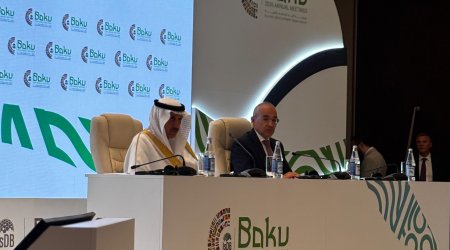 Azərbaycan İslam İnkişaf Bankı ilə əməkdaşlıq üzrə növbəti 5 ilin prioritetlərini müəyyən edib