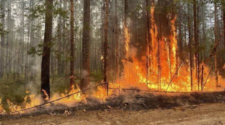 В Красноярском крае РФ горит более 133 тыс. га леса