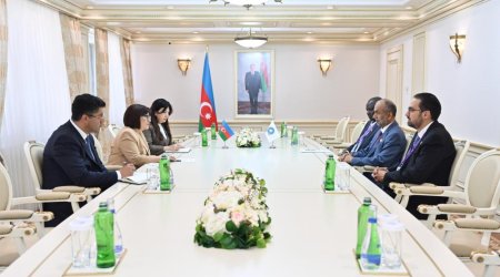 Sahibə Qafarova Qlobal Tolerantlıq və Sülh Şurasının sədri ilə görüşüb