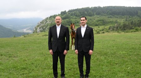 Карабахский скакун для президента Туркменистана