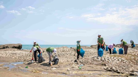 &ldquo;Zeytun Bağları&rdquo; ətraf mühitin qorunmasına töhfə verməyə davam edir