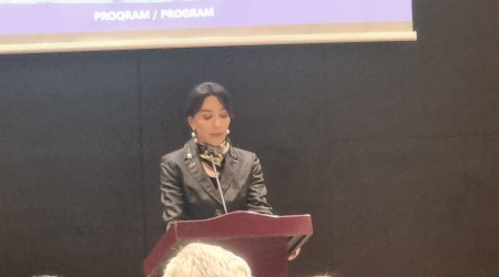 Audit şəffaflıq və hesabatlılığın təmin edilməsində mühüm mexanizmdir - Ombudsman