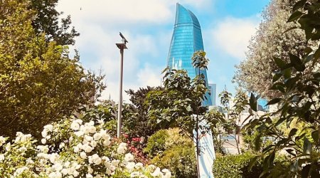 Sabahın hava proqnozu açıqlanıb