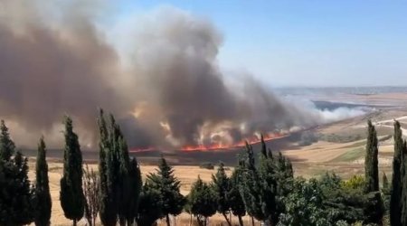 İstanbulda tarlada güclü yanğın başlayıb