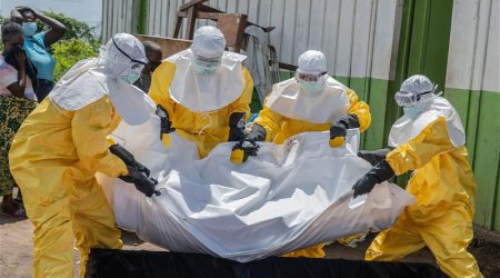 Число погибших от лихорадки Эбола в ДР Конго превысило 490