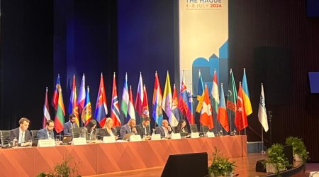 ATƏT PA-nın sessiyasında Azərbaycanın Rəqəmsal İnkişaf Şurasının fəaliyyəti barədə məlumat verilib