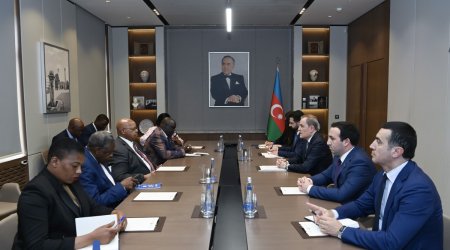Ceyhun Bayramov Zimbabve Milli Assambleyasının sədri ilə görüşüb