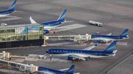 Пассажиропоток AZAL вырос на 5% в первом полугодии